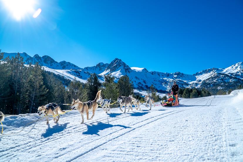 https://a.storyblok.com/f/150663/3936x2624/80f6d28b54/family-dog-sledging-in-el-tarter-andorra.jpg