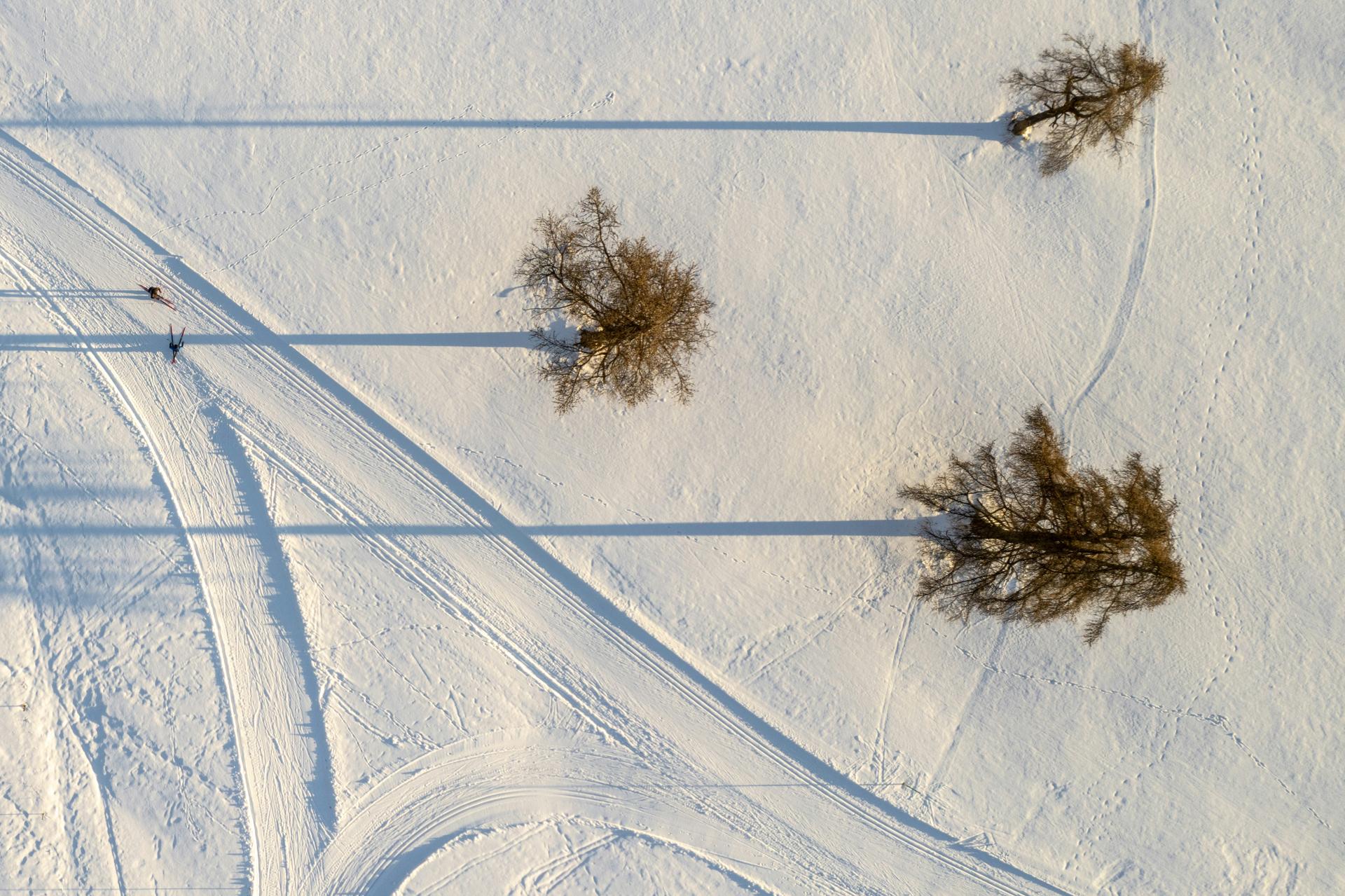 Sils-Maria-cross-country-skier